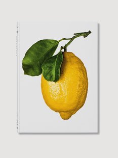 Ge&iuml;llustreerd boek The Gourmand&#039;s Lemon. A Collection of Stories and Recipes