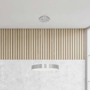 Steinhauer Ringlede hanglamp, Ø 48 cm, zilver