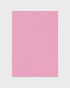 HEMA Schriften A4 gelinieerd roze - 5 stuks (roze)