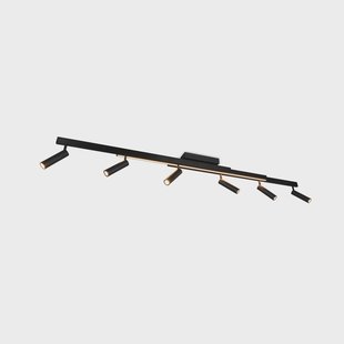 Trio Lighting Zeno plafondspot, 6 spots, mat zwart, metaal