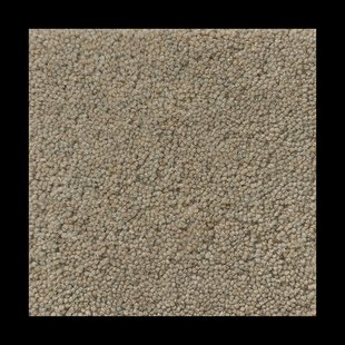 Ogeborg ODC Vega Natural wollen vloerkleed NW108, 300x400 cm