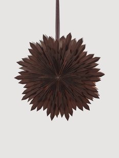 Decoratieve ster Ice