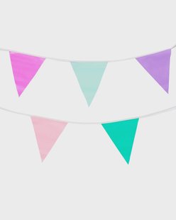 HEMA Vlaggenlijn meerkleurig 10m (multicolor)