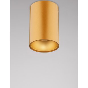 Nova Luce Nido - opbouwspot 1L - Ø 9,6 x 14 cm - goud