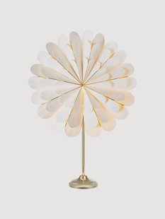 Lichtster Marigold