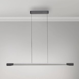 Paul Neuhaus LED hanglamp Hoop, aluminiumkleurig, 128 cm, dimbaar
