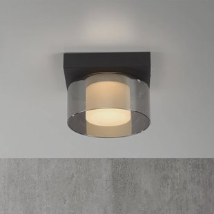 Paul Neuhaus LED plafondlamp Rika, Ø 15 cm, glas, dimbaar