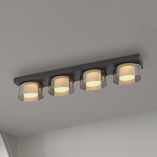 Paul Neuhaus LED plafondlamp Rika, 70 cm, glas, dimbaar