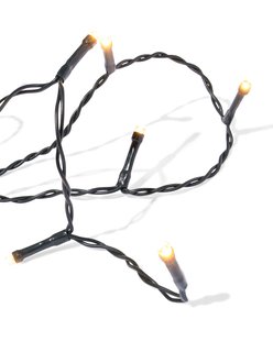 HEMA Lichtsnoer 12.42m met 100 LED lampjes voor binnen en buiten (wit)
