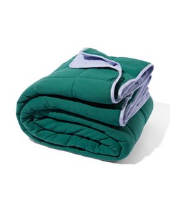 HEMA Bedsprei jersey streep groen/lila 260x235 (groen)