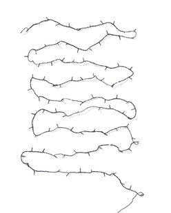 HEMA Lichtsnoer 12m met 100 LED lampjes twinkelend voor binnen en buiten (wit)