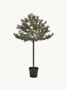 Kerstboom Peuce met LED verlichting en timerfunctie