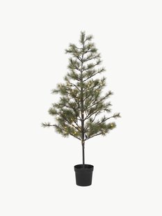 Kerstboom Peuce met LED-verlichting