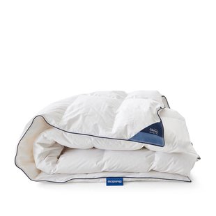 Auping Cloud Dekbed Lente/herfst - 140 x 220 cm