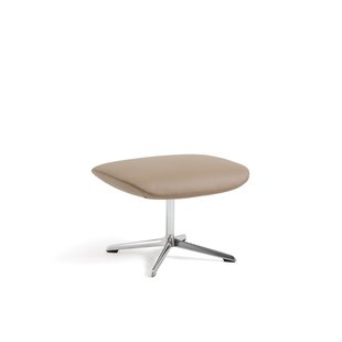 Voetensteun in kwaliteitsleer, Archie