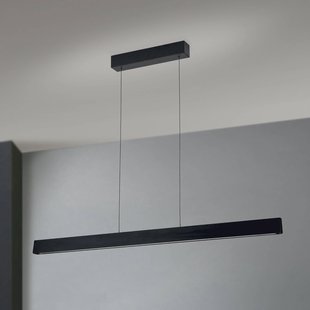 ORION Hanglamp Tara, zwart, lengte 120 cm, aluminium/staal