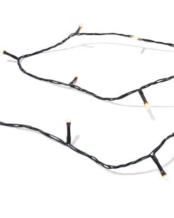HEMA Lichtsnoer 50 LED lampjes voor binnen en buiten (wit)