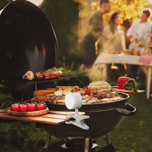 FH Lighting LED klemlamp Magnetics, wit, dimbaar, CCT