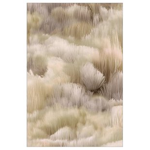 Moooi Carpets Beetle Dunes Vloerkleed 200x300 Polyamide Flax