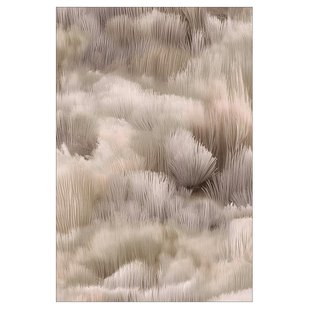 Moooi Carpets Beetle Dunes Vloerkleed 200x300 Polyamide Pussy Willow