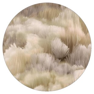 Moooi Carpets Beetle Dunes Vloerkleed&Oslash;250 Polyamide Flax