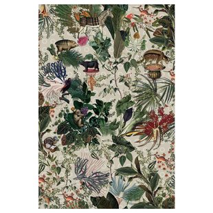 Moooi Carpets Menagerie Of Extinct Animals Vloerkleed 200x300 Polyamide Ivory Moooi Carpets Menagerie Of Extinct Animals Vloerkleed 200x300 Polyamide Ivory