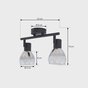 Lindby Pendura plafondlamp, 2-lamps, zwart, glas