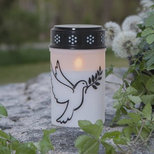 STAR TRADING LED graflicht Duif, wit/zwart kunststof 12,5 cm batterij