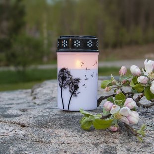 STAR TRADING LED graflicht Paardenbloem, 12 cm wit/zwart kunststof batterij