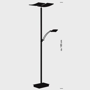 HELL LED vloerlamp Andy, 3-lamps, antraciet, CCT, dimmer