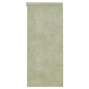 Duo Rolgordijn Eva Antraciet 120x175 cm