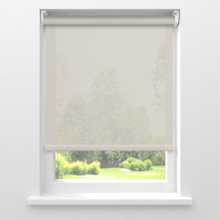 Fenstr Rolgordijn Sara Grijs Verduisterend