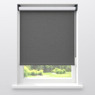 Fenstr Dakraam Rolgordijn David Zwart Verduisterend