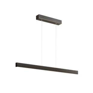 Argon Broll LED hanglamp, antraciet, staal, lengte 100 cm