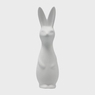 DBKD Swedish rabbit large White