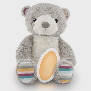 Zazu slaapknuffel bruno de beer