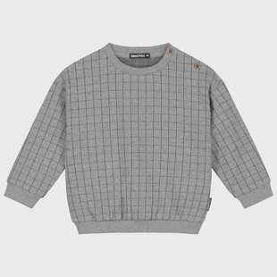 Sweet Petit baby sweater Vic