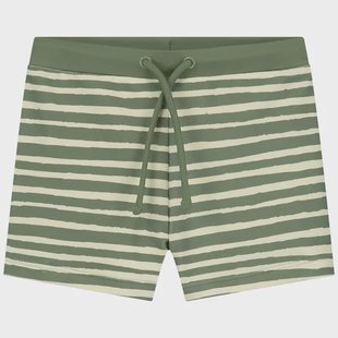 Prénatal kinder zwemboxer