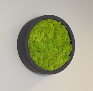 Mosschilderij Linn Fiberstone XS