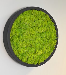 Mosschilderij Linn Fiberstone M