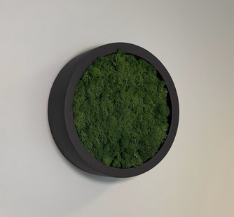 Mosschilderij Fay Fiberstone XS