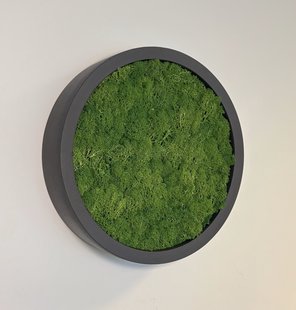 Mosschilderij Fay Fiberstone S