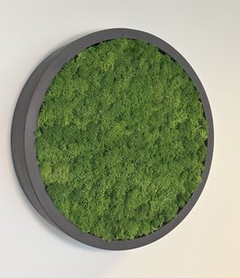 Mosschilderij Fay Fiberstone M