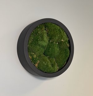 Mosschilderij Jade Fiberstone XS