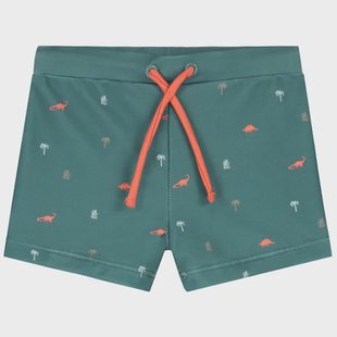 Prénatal zwemboxer dinosaurussen