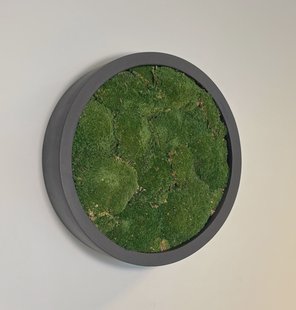 Mosschilderij Jade Fiberstone S