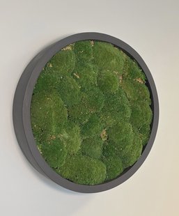 Mosschilderij Jade Fiberstone M