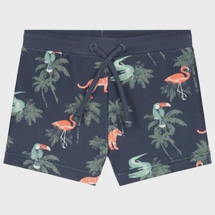 Prénatal zwemboxer dieren