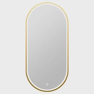 Vtw Living - Badkamerspiegel Ovaal met Verlichting 50 x 100 cm Goud