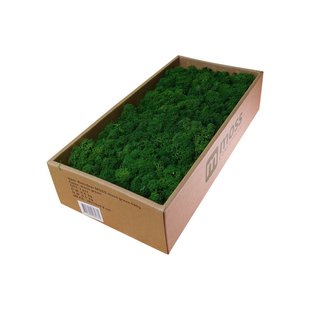 MOSS concepts Rendiermos mosgroen 500 gram